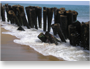 Auroville Beach Pondicherry